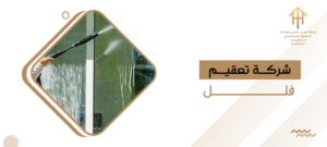شركة تعقيم فلل