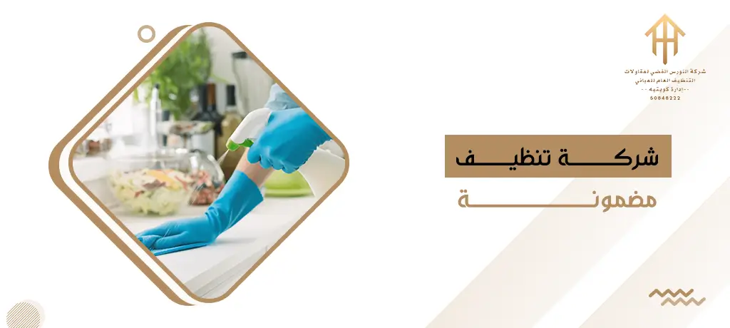 شركة تنظيف مضمونة