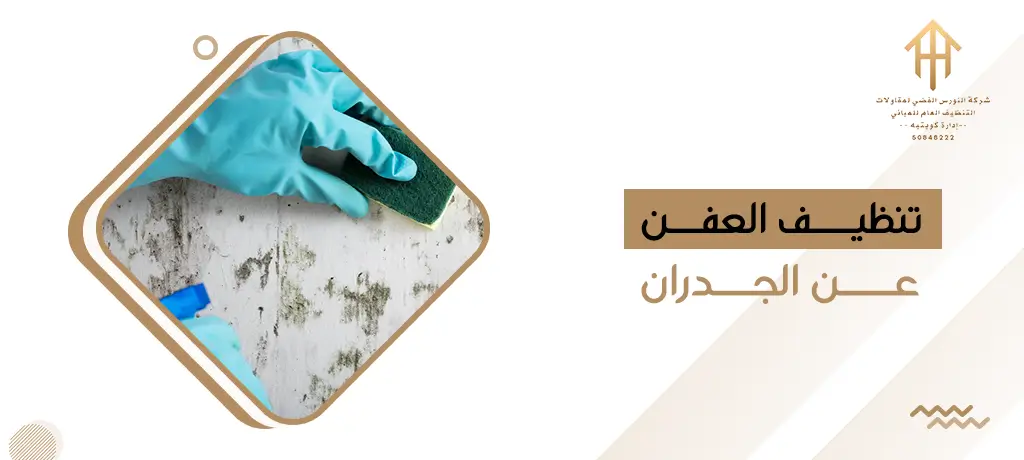 تنظيف العفن عن الجدران