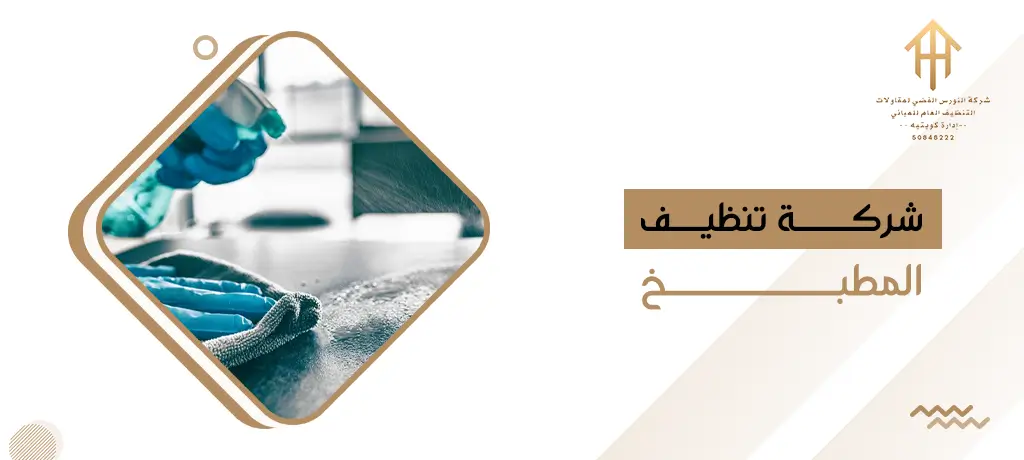 شركة تنظيف المطبخ