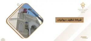 شركة تنظيف ديوانيات
