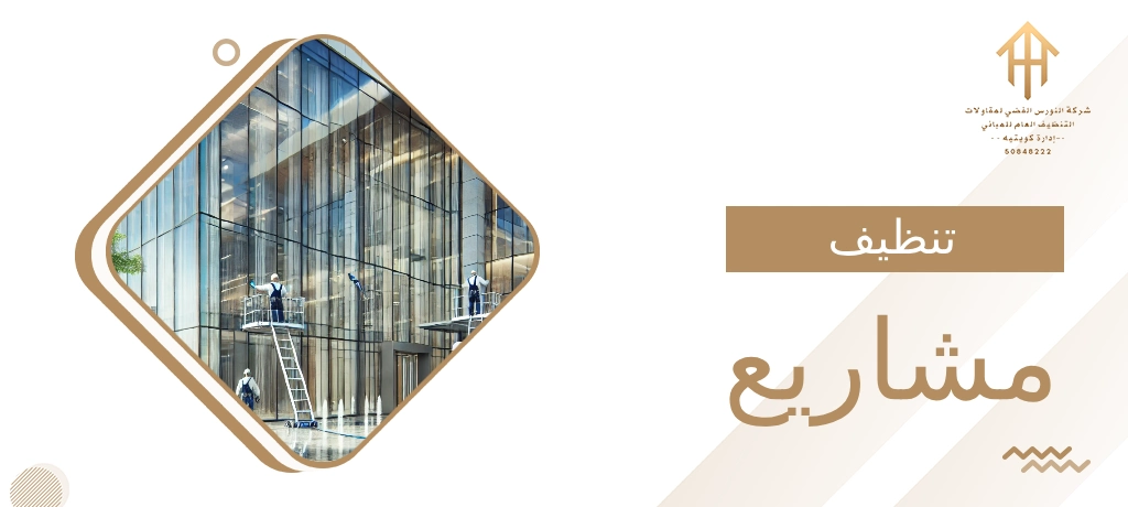 تنظيف مشاريع