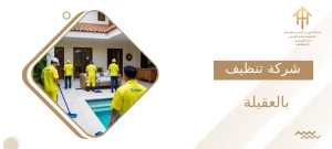 شركة تنظيف بالعقيلة