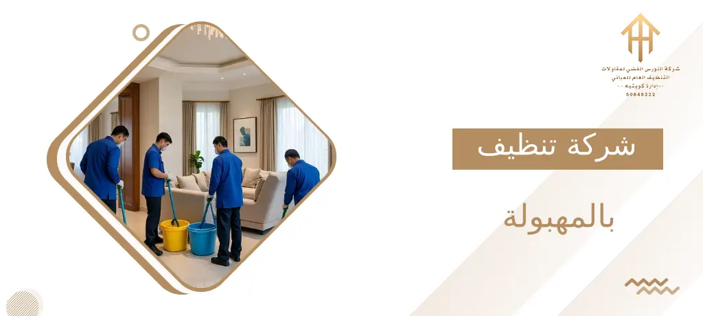 شركة تنظيف بالمهبولة