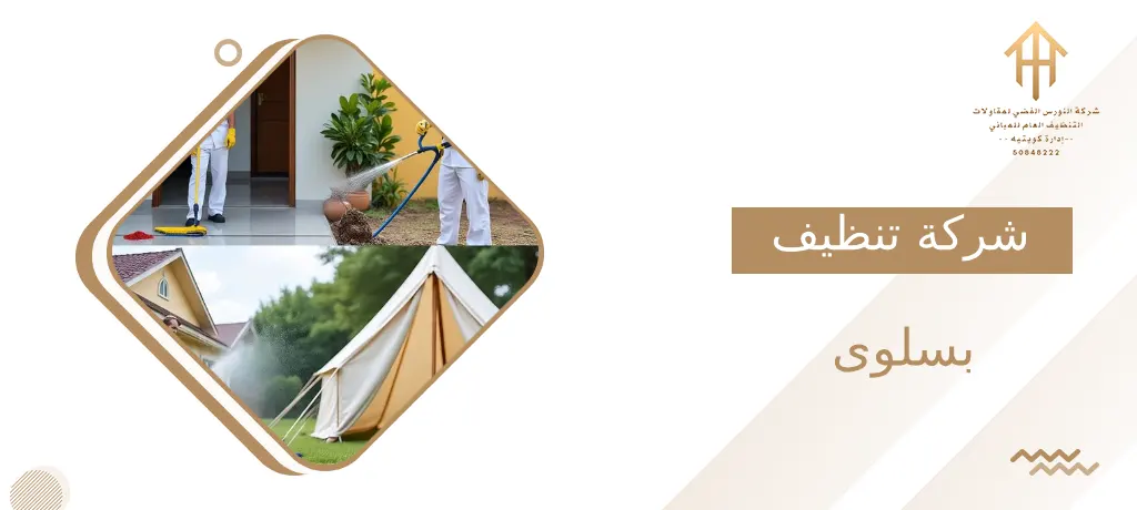شركة تنظيف بسلوى