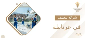 شركة تنظيف في غرناطة