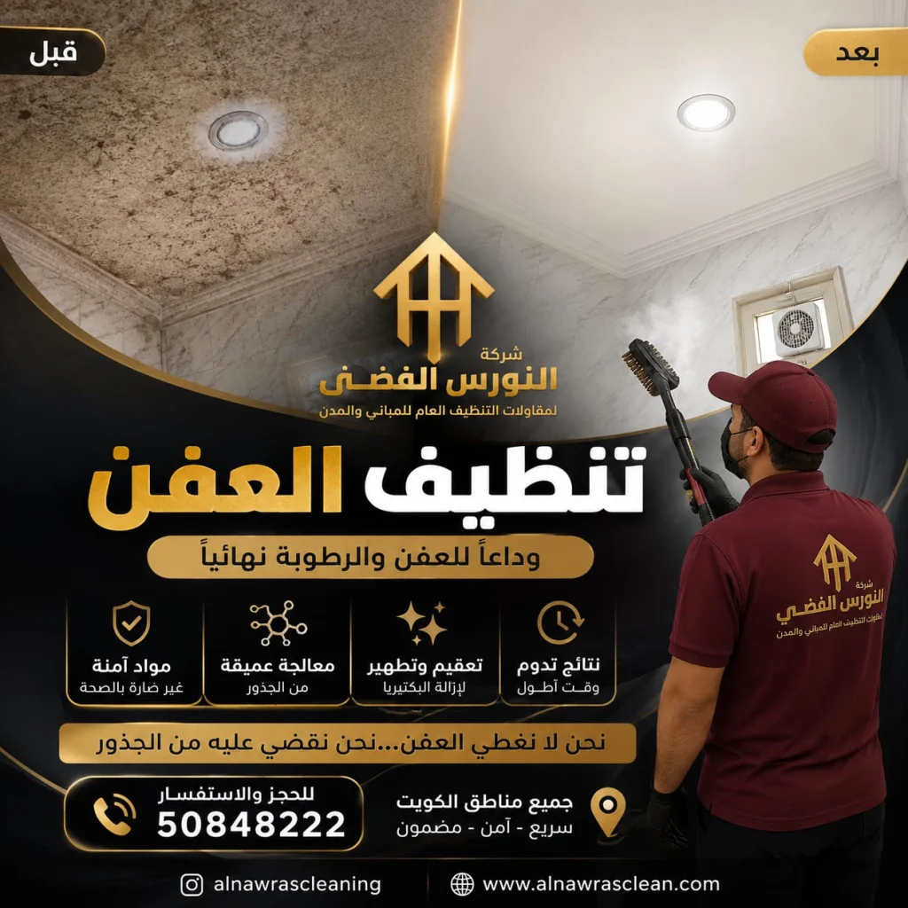 العفن الأسود