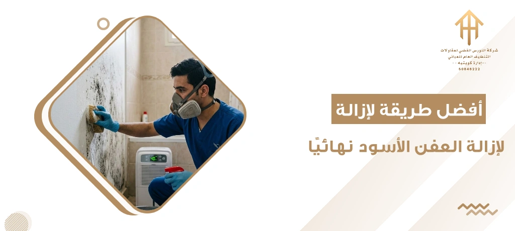 أفضل طريقة لإزالة العفن الأسود نهائيًا