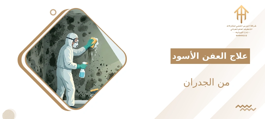 إزالة العفن الأسود من الجدران