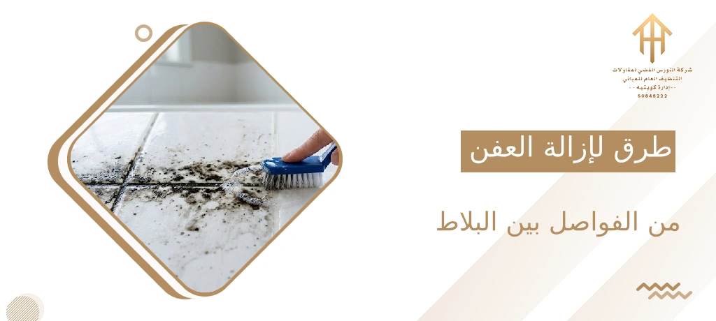 طرق لإزالة العفن من الفواصل بين البلاط