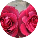 mooraa mohmed profile picture