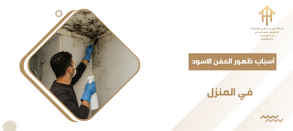 أسباب ظهور العفن الاسود في المنزل