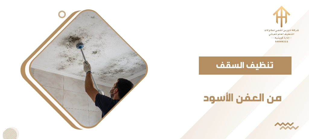 تنظيف السقف من العفن الاسود