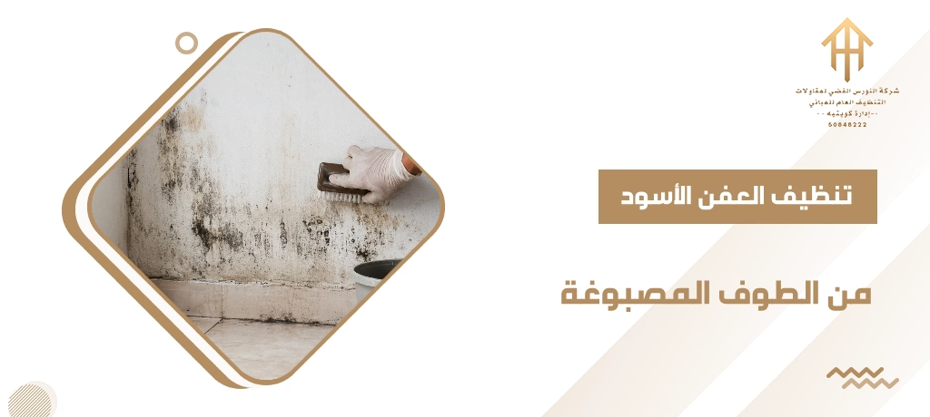 تنظيف العفن الأسود من الطوف المصبوغة
