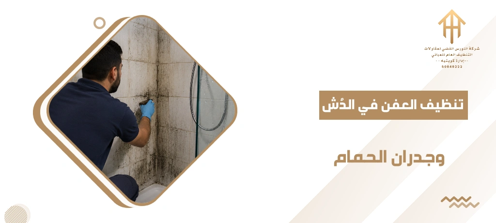 تنظيف العفن في الدُش وجدران الحمام