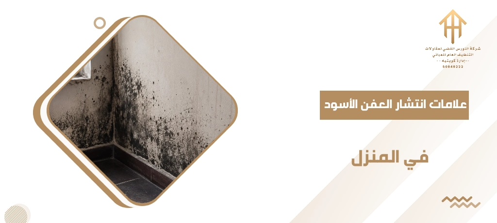 علامات انتشار العفن الأسود في المنزل