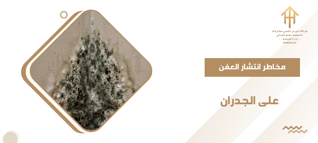 مخاطر انتشار العفن على الجدران